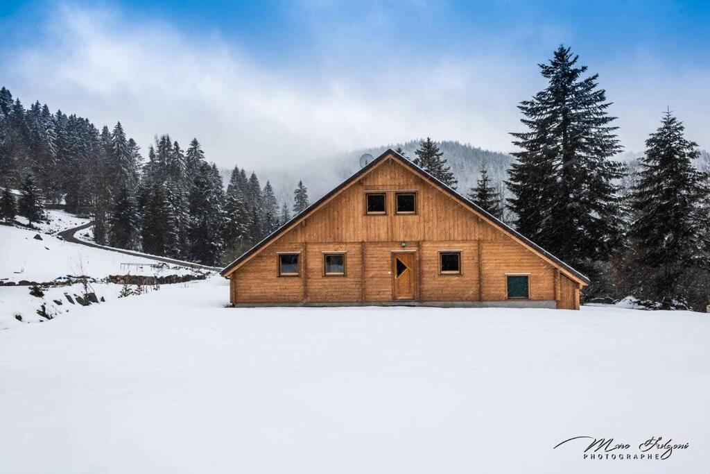 Chalet Charligustine - Gerardmer - 8P Gérardmer Exterior foto